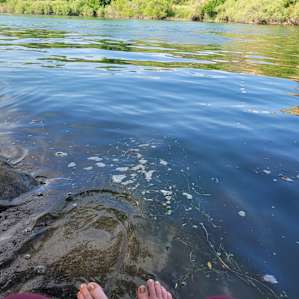 Rivers Edge Retreat near Hot Spring