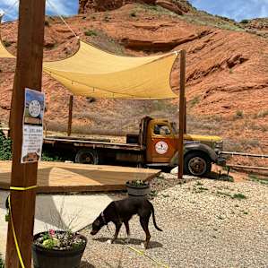 Ten Sleep Brewing Co. Camping