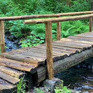 Creekside Camp