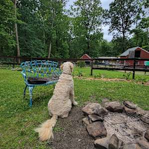 The view from the cabin.