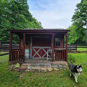 The Cabin