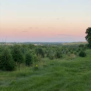 View from the campsite on the hill looking down
