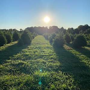 Miller’s Tree Farm -$31 Per Night