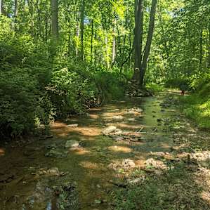 Creeking near the campsite.