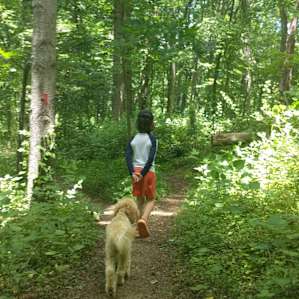 Pupper approved hikes.