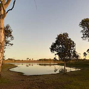 Lake View Camping