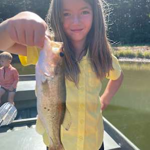 Woodybrooke 4 stocked Ponds Farm