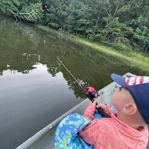 Woodybrooke 4 stocked Ponds Farm