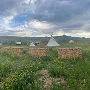 We put our tent near the geodesic dome in this field. There were mowed paths between shower, bathroom and eating areas and the big fire pit.