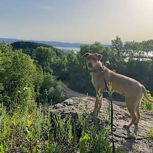 Quarry in the Mississippi Bluff