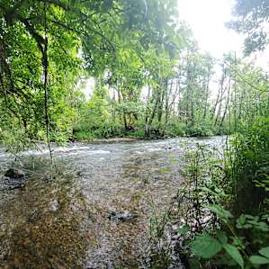 The sound of the creek at night is so peaceful.