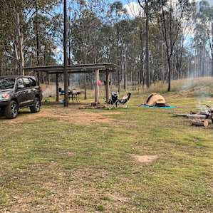 Gums on Billabong
