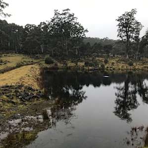 Gorgeous fish pond!