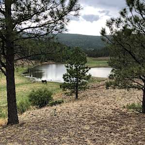 E<< Campground NM