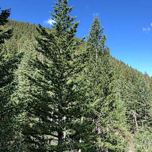 Clear creek getaway