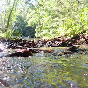 Kinderhook Hollow Brook+Ponds@3000'