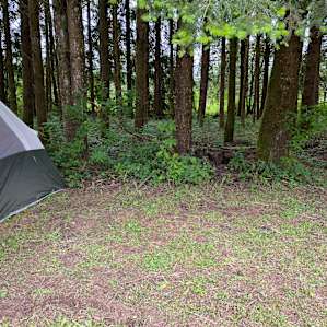 Fonzo & Marinda's Creekside Camping