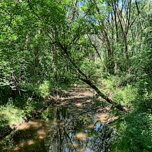 Koertland Acres GROUP CAMP