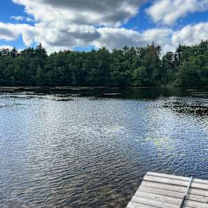 Pond Deck