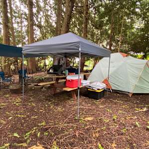 Our camp in the forest area