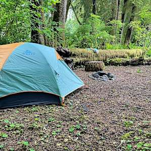 Salmon Run Trailside #4