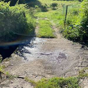Very narrow bridge to be careful of if you have a wide camper like us.