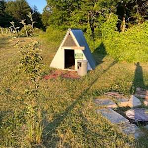 We didn't use the outdoor potty but it looked clean and didn't smell.