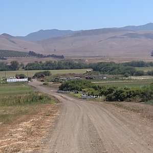Valley View Farm Campsite - #4