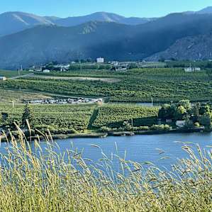 Four Lakes Winery-Vineyard-Orchard