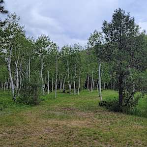 Super spacious spots that are quite well spaced from each other.