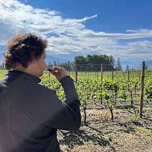 Back Forty Vineyards
