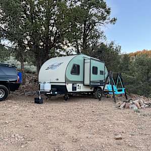 Evelyn’s Big Bear Forest