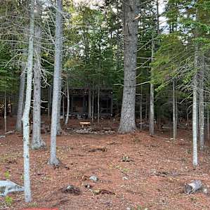 Remote forest cabins and camping