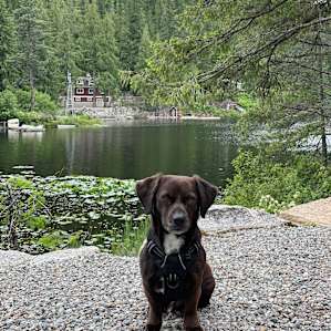 Beaver Bay
