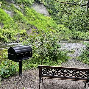 Camping in forest, next to a creek.