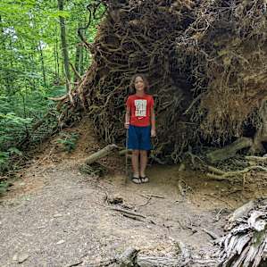 Wooded trail at campsite