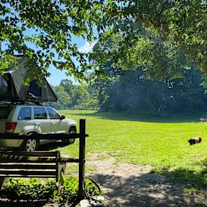 Tenting, Fishing, Swimming Utopia
