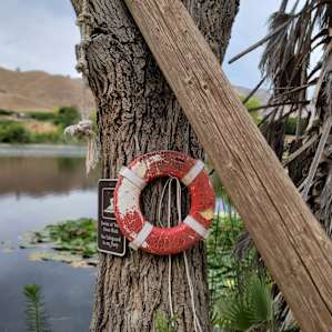 Pond campsite
