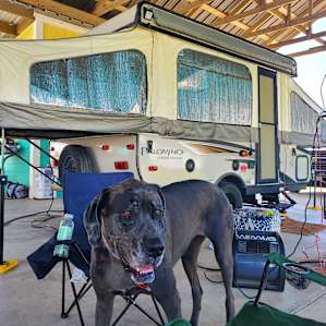 Our Popup & Pup were happy for all the shade!