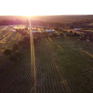 Such great sunsets over the hills, a few nice vantage points to see them