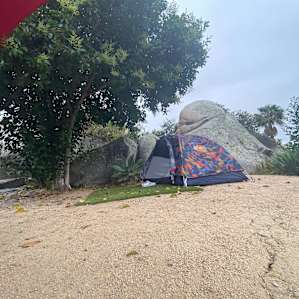 Reid Ranch Site 1