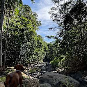 Maleny - The Junction, Riverdell