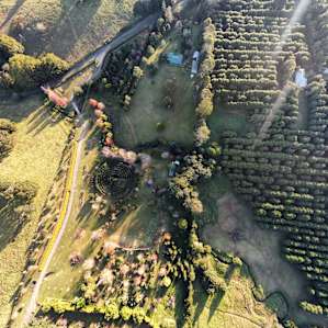 Garden site