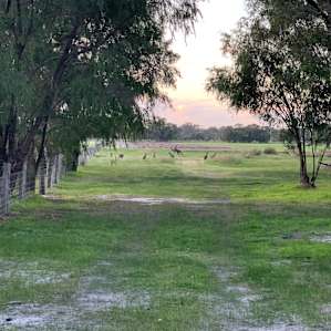 Perron Estate Camping