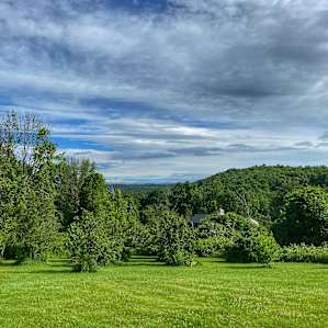 Meadow's Edge @ The Forest Garden