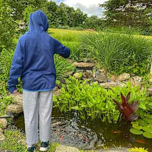 Feeding the fish