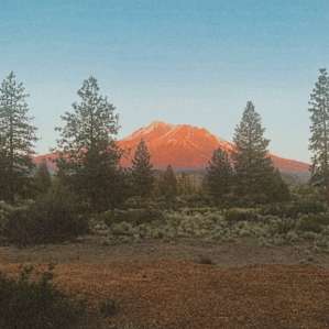 Shasta Days Tiny Home