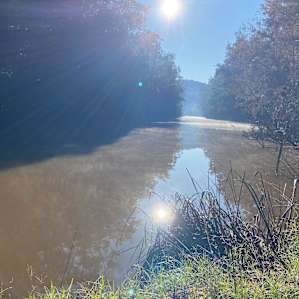 Camp at Wattle Valley Farm Wollombi