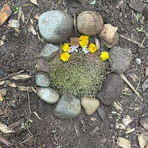 My kids found a dead bee and laid it to rest! 😂