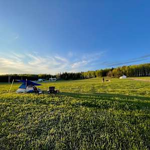 Muriel Lake Beach Field Forest